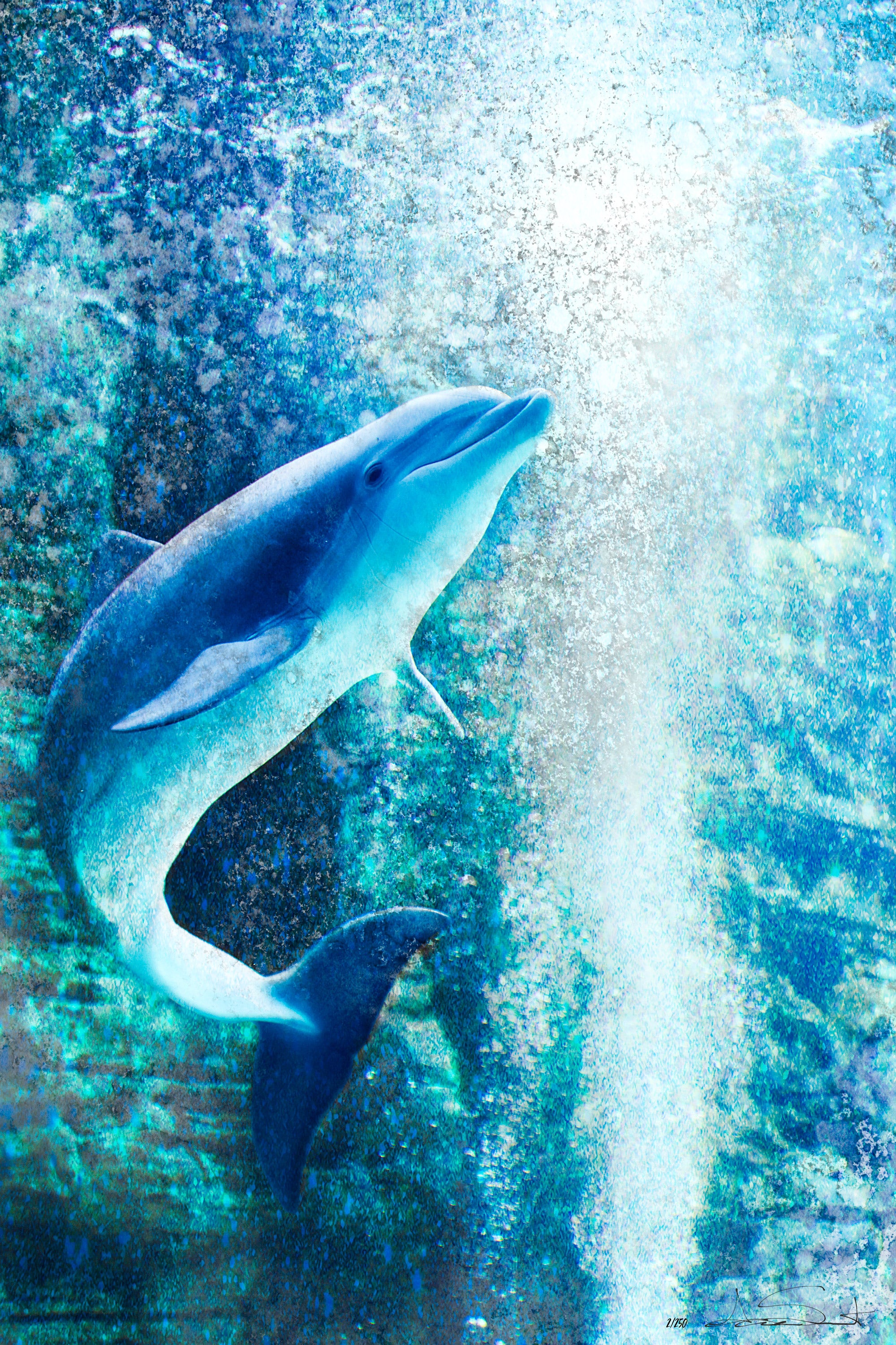 Dolphin